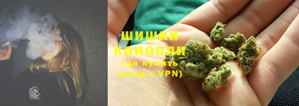твердый Абаза