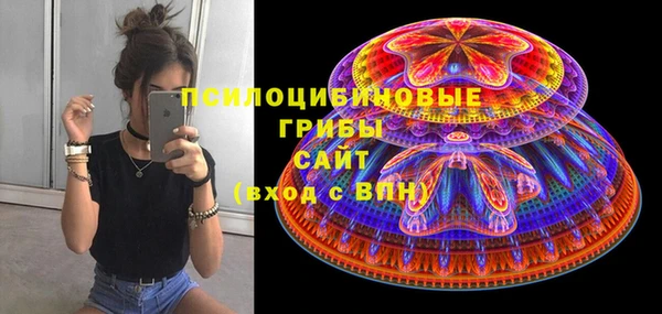 дживик Липки