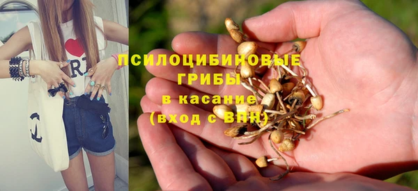 прущие крисы Абдулино