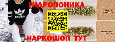 Альфа ПВП Севастополь