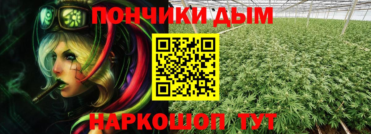 Каннабис LSD WEED  Вход с VPN  Каннабис планчик  Сальск  Каннабис план 